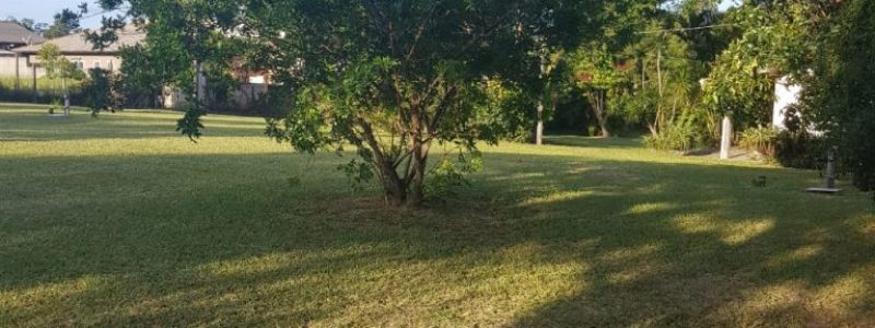 Terreno-no-Rio-Vermelho-florianopolis