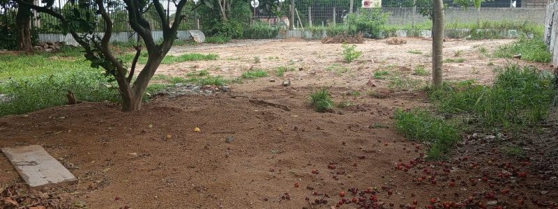 WhatsApp Image 2025-12-03 at 11.01.22